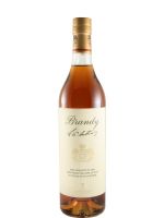 Brandy Antinori