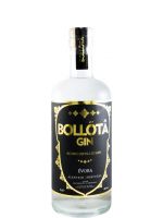 Gin Bollõtâ