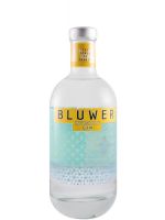 Gin Bluwer Invisible