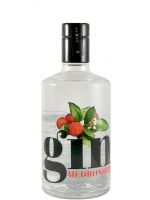 Gin Medronhito 50cl