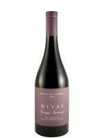 2021 DIVAI Touriga Nacional tinto
