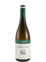 2024 Encosta da Fornalha white