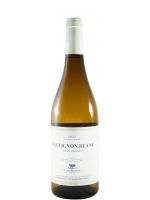 2025 Casa Relvas Vinha da Safa Sauvignon Blanc branco