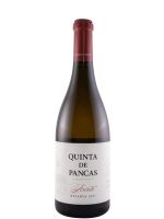 2017 Quinta de Pancas Arinto Резерв белое