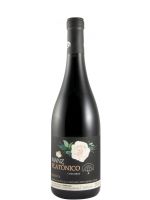 2020 Manz Platónico Reserva tinto