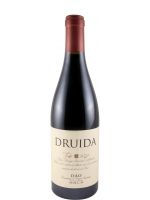 2020 Druida red