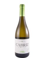 2022 Cabriz Colheita Seleccionada white