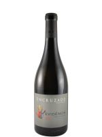2023 Evidência Encruzado Reserva white