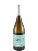 2024 Cabriz Sauvignon Blanc white