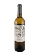 2022 Churchill's Grafite branco