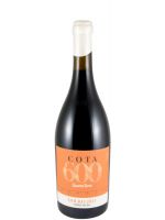 2023 Quanta Terra Cota 600 red