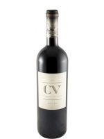 2011 Curriculum Vitae red
