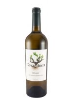 2023 Terra a Terra Reserva branco