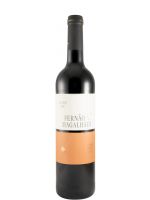 2024 Fernão de Magalhães red