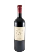 2021 Curriculum Vitae tinto