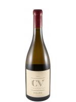 2021 Curriculum Vitae branco