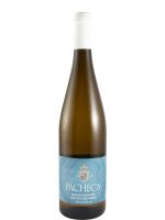 2024 Pacheca Sauvignon Blanc branco