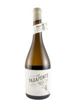2022 Parapente Loureiro white