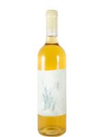 2024 Tau Curtimenta white