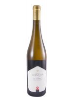 2019 Curral Atlântis Verdelho dos Açores white