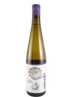 2023 Landcraft Sauvignon Blanc branco