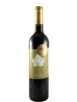 2023 Lambéria's red