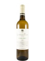 2023 Quinta dos Termos white