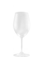 Riedel Wine Glass