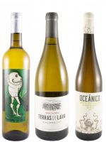 White wines from Portuguese Islands