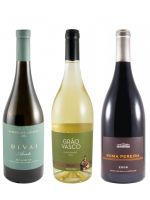 Edição do Enólogo N.º 15