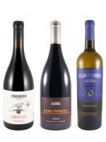 Edição do Enólogo N.º 18