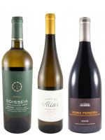 Edição do Enólogo N.º 20