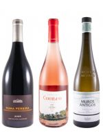 Edição do Enólogo N.º 23