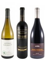 Edição do Enólogo N.º 25