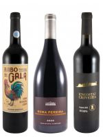 Edição do Enólogo N.º 30