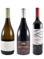 Edição do Enólogo N.º 37