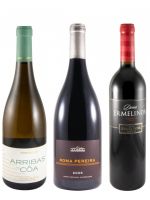 Edição do Enólogo N.º 40