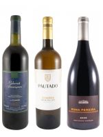 Edição do Enólogo N.º 78