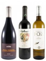 Edição do Enólogo N.º 9