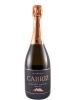 2017 Sparkling Wine Cabriz Brut