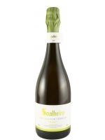 2021 Sparkling Wine Soalheiro Nature Pur Terroir Alvarinho Brut organic