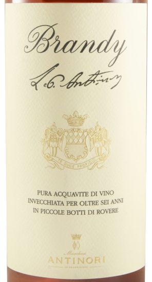 Brandy Antinori