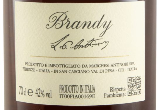 Brandy Antinori