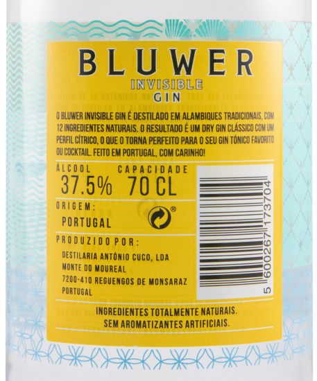 Gin Bluwer Invisible