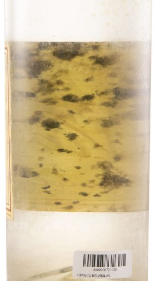 Bagaceira Vinícola de Nelas (rolha de cortiça) 95cl