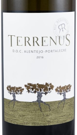 2016 Terrenus white