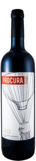 2013 Susana Esteban Procura red