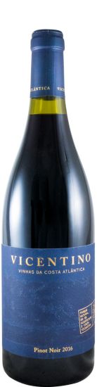 2016 Vicentino Pinot Noir red