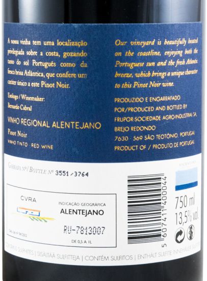 2016 Vicentino Pinot Noir red