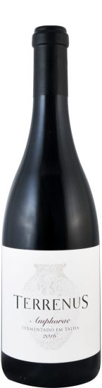2016 Terrenus Amphorae tinto